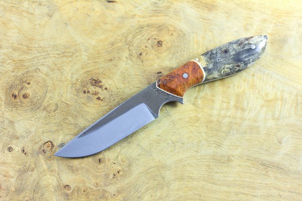 179mm Original Neck Knife, Forge Finish, Buckeye w/ Orange Dyed Maple Burl Bolster - 71