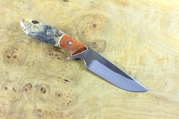 179mm Original Neck Knife, Forge Finish, Buckeye w/ Orange Dyed Maple Burl Bolster - 71