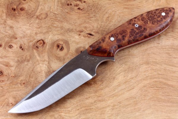 175mm Clave Neck Knife, Forge Finish, Stabilized Burl, 75grams