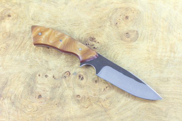 193MM Aviator Neck Knife, Forge Finish, Stabilized Hardwood w/ Red G10 Liners - 100 grams