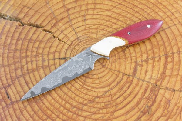 194 mm Pointy Wharncliffe Neck Knife, Damascus, Red Linen Micarta w/ Ivory Paper Micarta Bolster - 75 grams