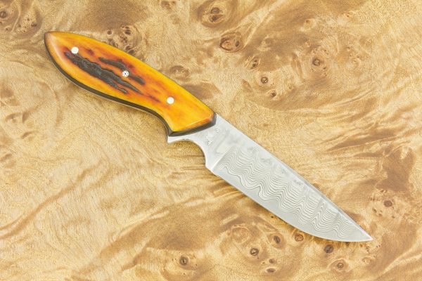 189 mm Vex Clip Neck Knife, Damascus, Amber Dyed Jigged Bone - 98 grams